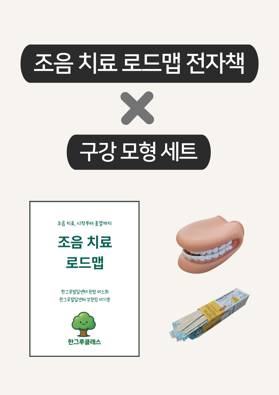 조음 치료 로드맵 + 구강 모형