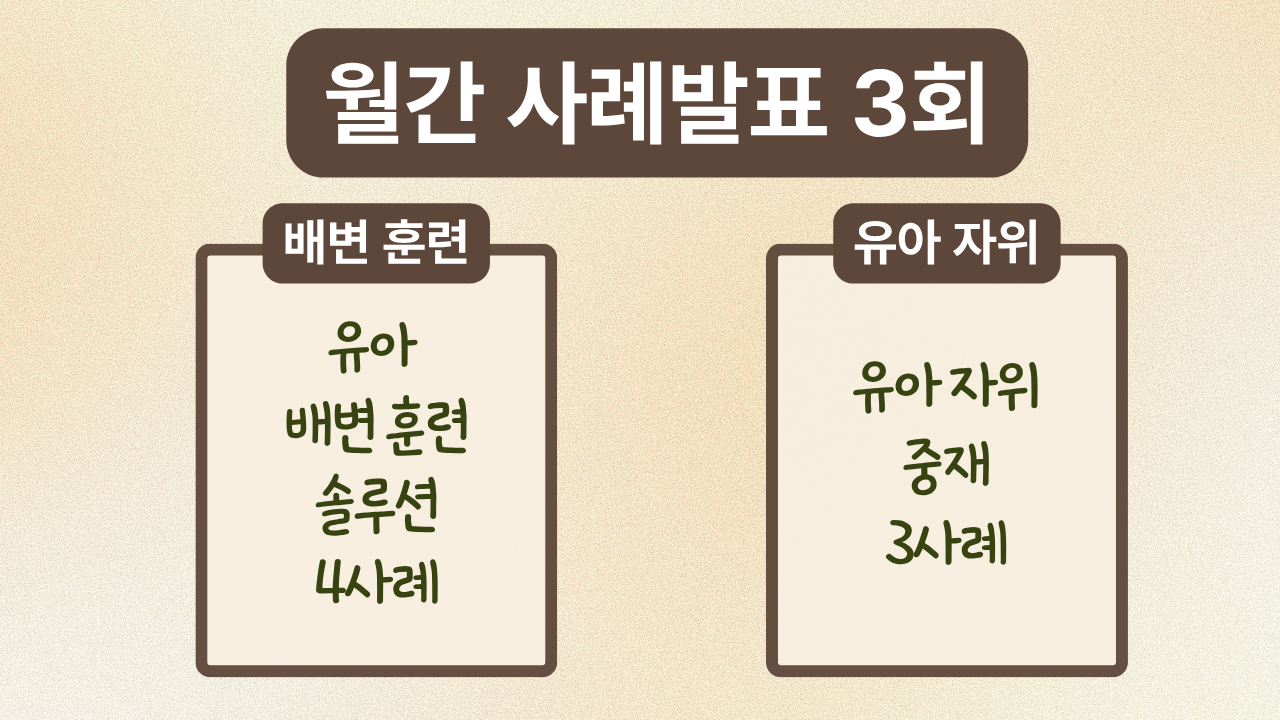 월간 사례발표 3회